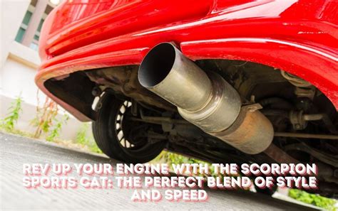 Rev Up Your Engine With The Scorpion Sports Cat The Perfect Blend Of