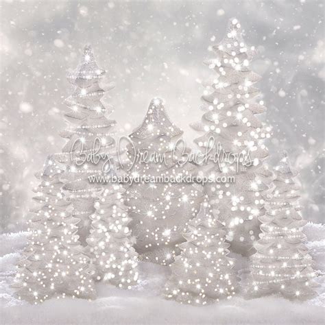 Winter Glamour Baby Dream Backdrops