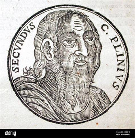 Plinius hi-res stock photography and images - Alamy