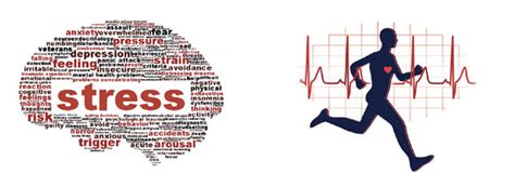 truth  exercise  stress  neighbourhood clinic