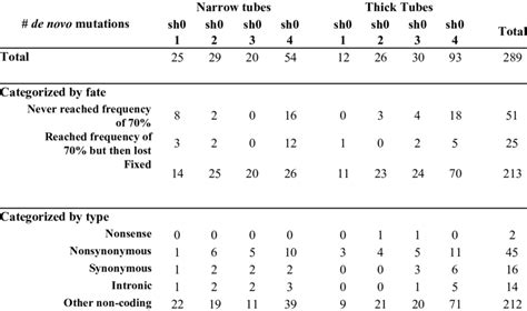 Number of different types of de novo mutations. | Download Scientific ...