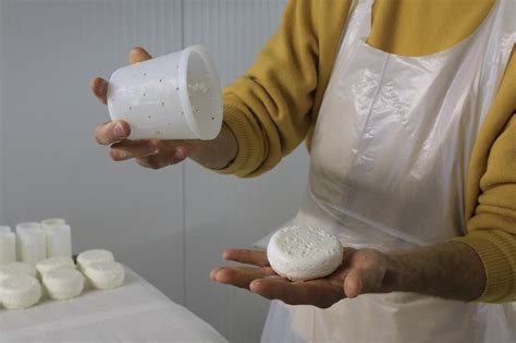 Comment Faire Du Fromage Maison Facile Ventana Blog