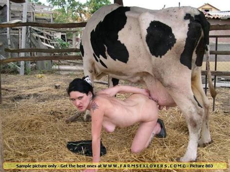 Cow Xxx Sex Pictures Pass