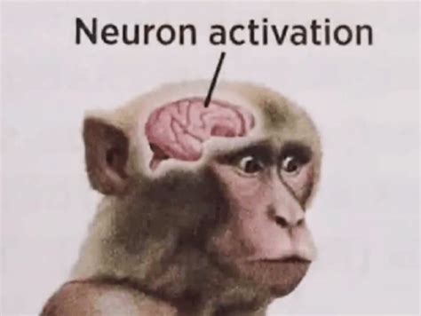 Neuron Activation Meme - Neuron activation - Discover & Share GIFs
