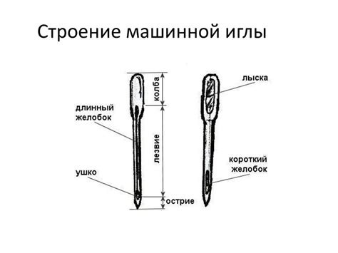 Машиноведение. Строение машинной иглы, регулятора длины стежка. Уход за ...