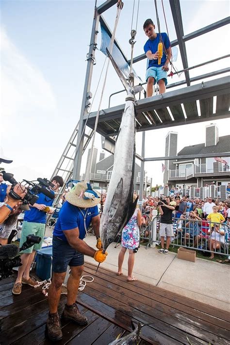 Ocean City Maryland White Marlin Open - Kirby Merrily