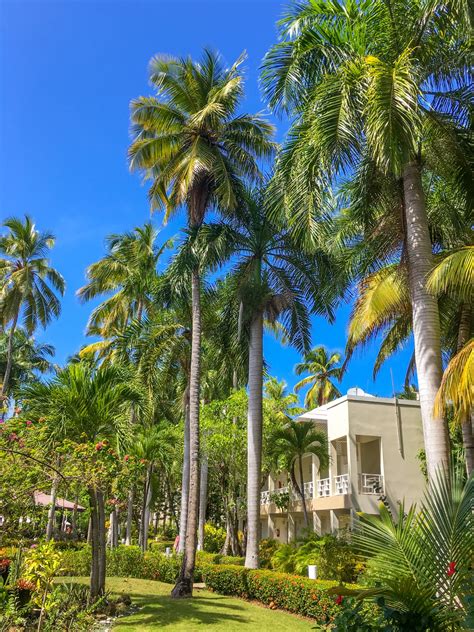Tropical Resort Free Stock Photo - Public Domain Pictures