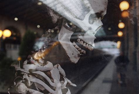 Growing Bone in a Laboratory: Nano Particles Used to Regenerate Body's