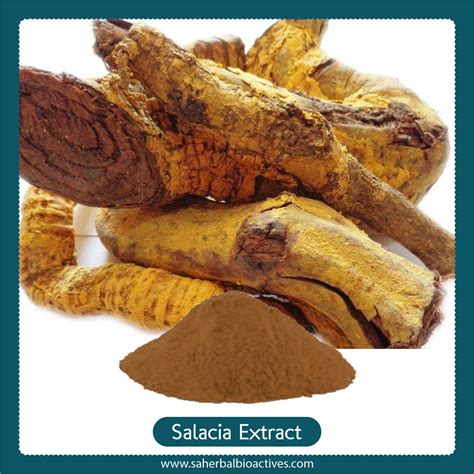 salacia reticulata oblonga extract sa herbal bioactives
