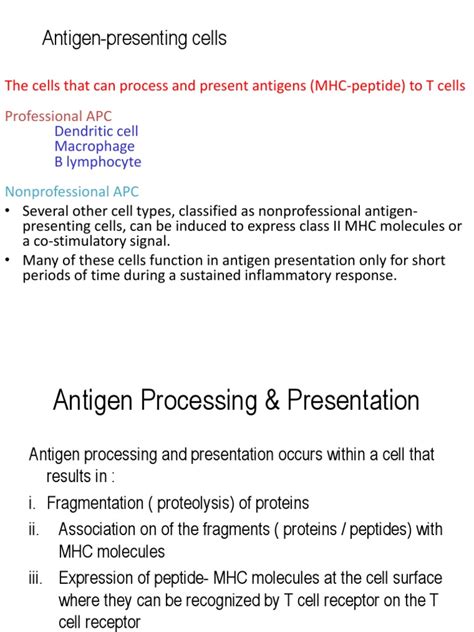 antigen presenting cells  mhc class  antigen