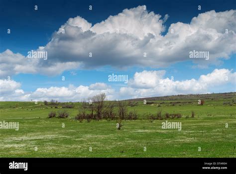 green grass field landscape stock photo alamy