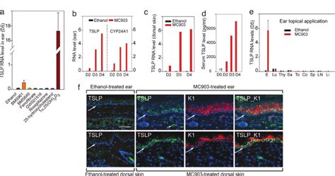 Skin Topical Application Of Oh D And Mc Activates Tslp