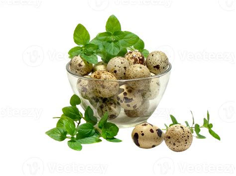 Egg Png Transparent Background 29334813 Png