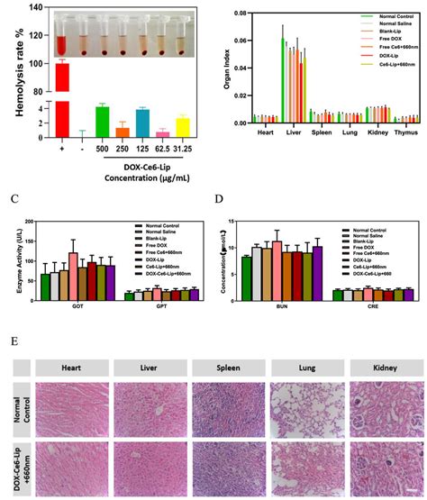 Biosafety Evaluation Of Dox Ce Lip In Vitro And In Vivo A Hemolytic