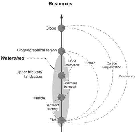 Upper tributary watersheds, apart from being habitat for in situ... | Download Scientific Diagram