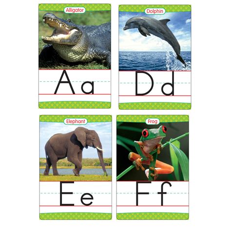 Animals From A To Z Manuscript Alphabet Letter Card Set Beckers