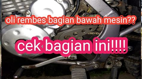 Cara Mengganti Seal Gear Depan Klx Youtube