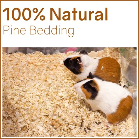 Snapklik.com : Premium Natural Pine Bedding For Small Indoor And