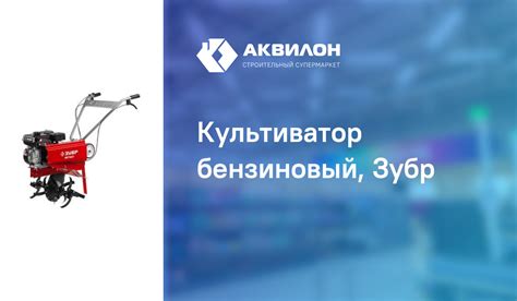 Культиватор бензиновый, Зубр – купить с доставкой в интернет-магазине ...
