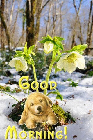 Доброе утро | Доброе утро, Животные