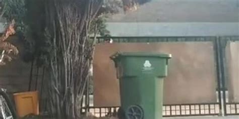 Free Bulge Flash Porn Videos Sex Movies Tnaflix