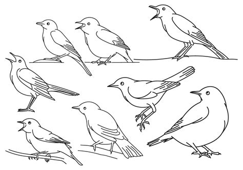 Bird Outline Vector Art, Icons, and Graphics for Free Download