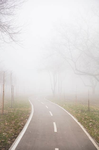 Premium Photo View At Bike Path In The Foggy Winter Day