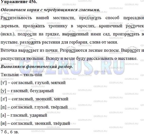ГДЗ по Русскому языку 5 класса: Ладыженская Упр. 456