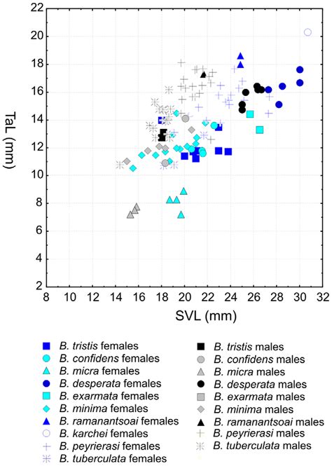 Morphometric Differentiation Among Sexes In Species Of The Brookesia Download Scientific