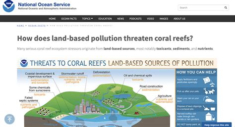 How Does Land Based Pollution Threaten Coral Reefs Risk Know How