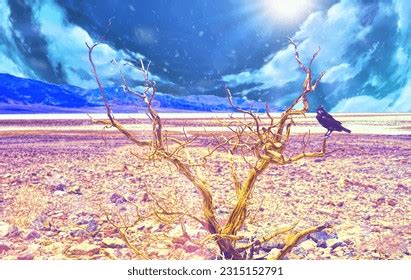 la nino image images stock   objects vectors