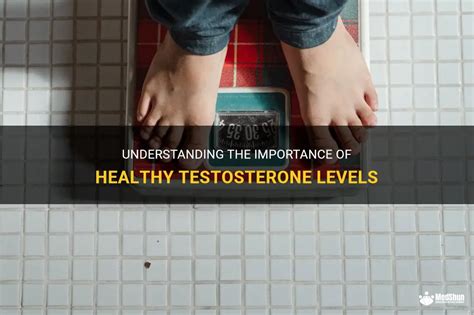 Understanding The Importance Of Healthy Testosterone Levels Medshun