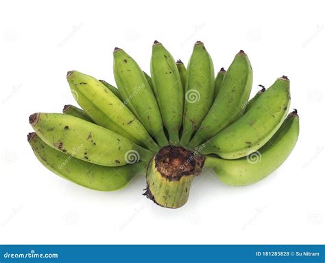 Bunch Of Mini Bananas Or Baby Bananas Bio Small And Extra Sweet With