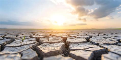 impact  global warming dry  parched land concept climate