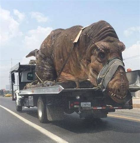 times people    weird