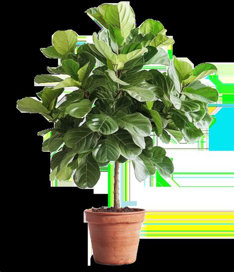 Ränta på ränta-kalkylator – Räkna ut ränta på ränta effekten med vår formel