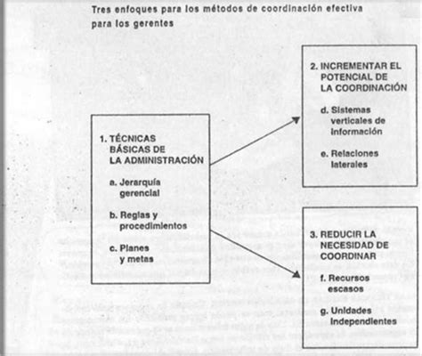 Diseño Y Estructura Organizacional