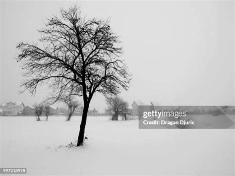 130 Croatian Weather Snow In Zagreb Stock Photos, High-Res Pictures ...