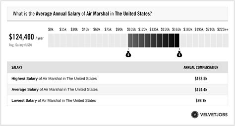 Air Marshal Salary (Actual 2023 | Projected 2024) | VelvetJobs