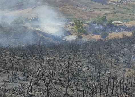 Incendio Simeri Crichi Ettari Di Terreni Bruciati Danni A Strutture