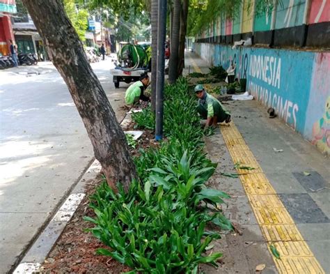 Perindah Jalur Pedestrian Jalan Howitzer Dan Kodam Raya Ditanami