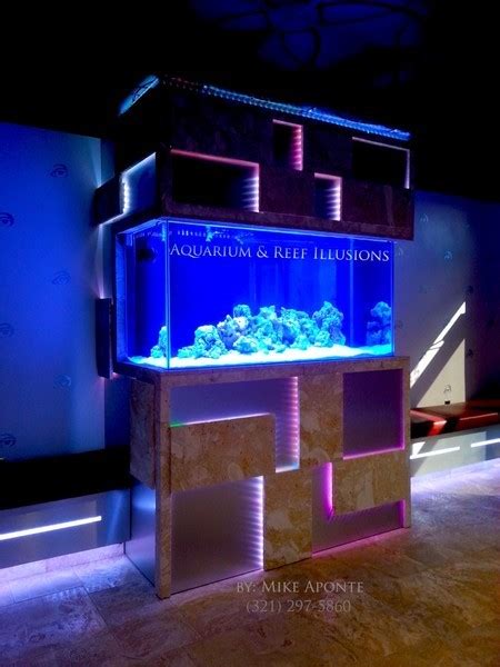 aquarium reef illusions - Aquarium Gallery