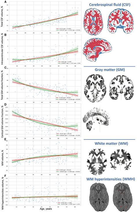 Frontiers Brain Morphometry And Cognitive Performance In Normal Brain Aging Age And Sex