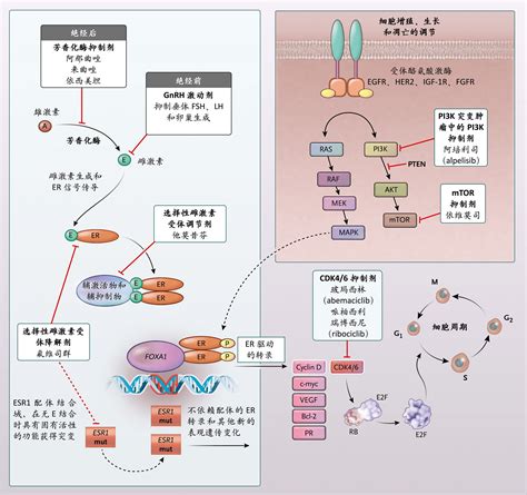 Nejm医学前沿