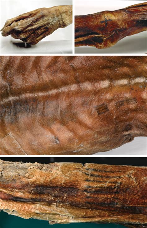 Ancient Tattoos - Ötzi, the Iceman - Archaeology Magazine - November ...