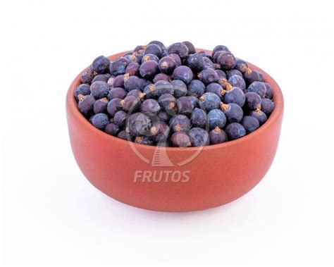 Можжевеловая ягода 0.5 кг по низкой цене оптом и в розницу купить с ...