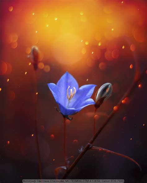 Магия на Гелиос-77м-4 от Светланы Стасяковой | Радожива