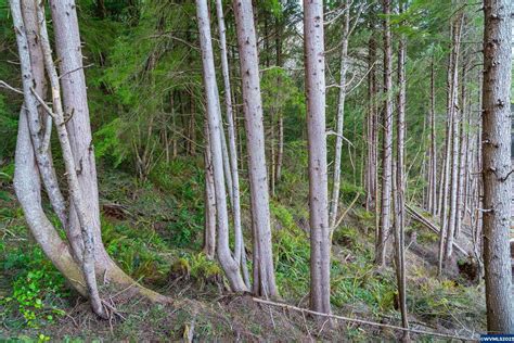 road conditions hwy 101 oregon 6