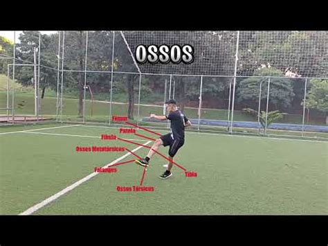 Chute do futebol Principais Ossos e Músculos YouTube