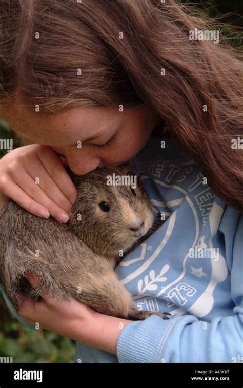 Close up of a little girl cuddling a guinea pig Stock Photo - Alamy